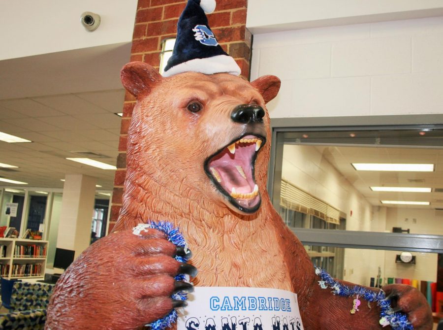 The Cambridge bear is all dolled up for the holidays. 