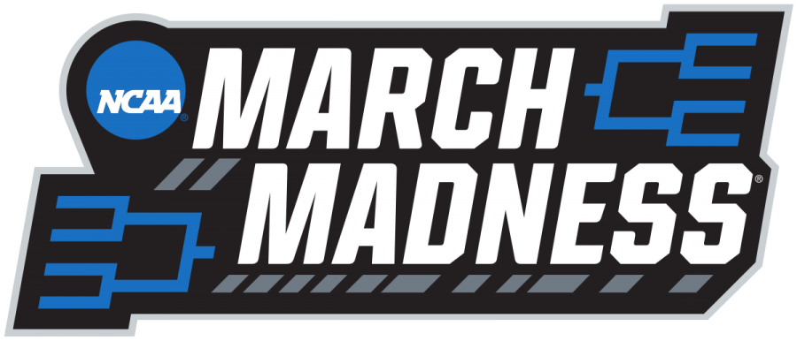 March+Madness%3A+How+Bears+are+Reacting+to+All+of+the+Craziness
