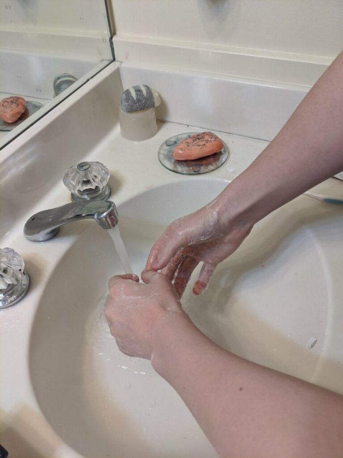 Managing Editor Libby Jones washing her hands at home, adhering to the guidelines from the CDC (and Cambridge science teachers).