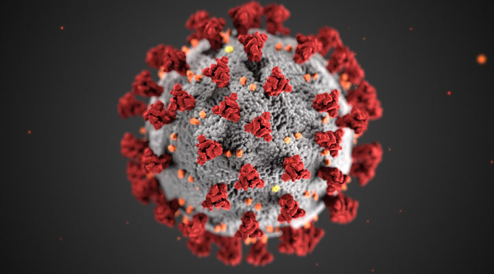 Taken from the CDC website, a graphic of the corona virus in a microscopic form. 