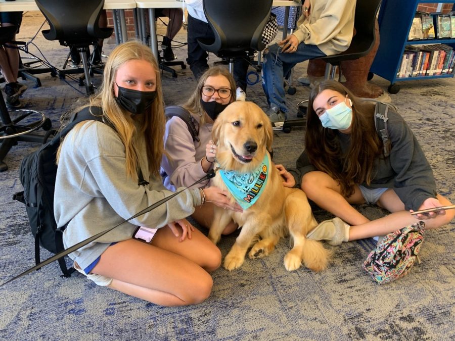 Students in the library hang out with Millie the golden retriever, who serves as the schools therapy dog.