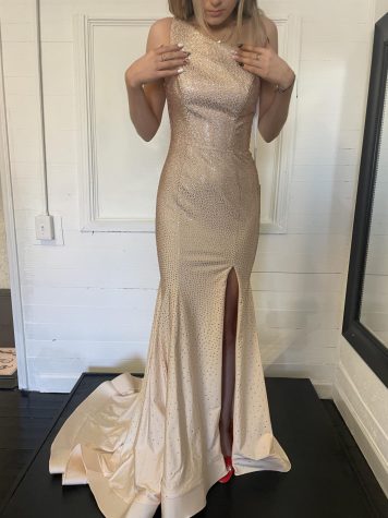 Avant shows off her sparkly, rose gold gown. Shes very excited to wear it at the dance.